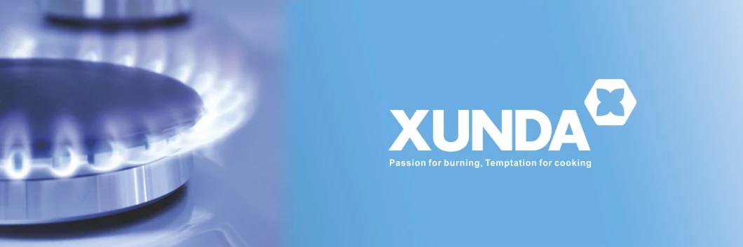 Xunda Built-in Gas Burner Stove Electronic Stove Gas Camping Stove